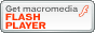 download de MacroMedia Flash Player